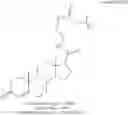 Fig. 13 - Method for measuring aromatase activity
