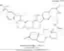 Fig. 15 - Method for measuring aromatase activity