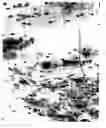 Fig. 04 - Automated microscopic sperm identification