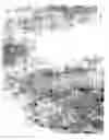 Fig. 05 - Automated microscopic sperm identification