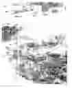 Fig. 10 - Automated microscopic sperm identification