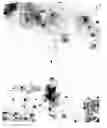 Fig. 24 - Automated microscopic sperm identification