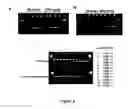 Fig. 04 - Compositions for use in identification of influenza viruses