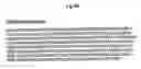 Fig. 09 - Lafora's disease gene