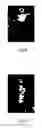 Fig. 07 - Method of stretching single-stranded nucleic acid, single-stranded nucleic acid stretching system and dna chip