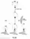 Fig. 08 - Compounds and methods for molecular biology