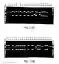 Fig. 15 - Compounds and methods for molecular biology