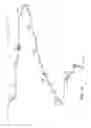 Fig. 06 - Antibodies to the polypeptide hormone phosphatonin