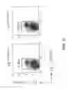 Fig. 07 - Attenuated flavivirus strains containing a mutated M-ectodomain and their applications