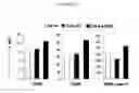 Fig. 20 - Immunostimulatory compositions and methods