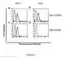 Fig. 24 - Immunostimulatory compositions and methods
