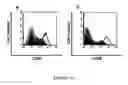 Fig. 26 - Immunostimulatory compositions and methods