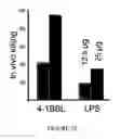 Fig. 29 - Immunostimulatory compositions and methods