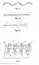 Fig. 02 - Compositions and methods for design of non-immunogenic proteins
