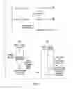 Fig. 03 - Compositions and methods for design of non-immunogenic proteins