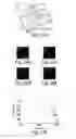 Fig. 30 - Compartmentalised combinatorial chemistry by microfluidic control