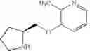 Fig. 07 - Neuronal nicotinic receptor ligands and their use