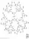 Fig. 03 - Dendritic chemiluminescent substrates