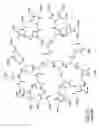 Fig. 04 - Dendritic chemiluminescent substrates