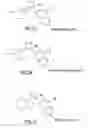 Fig. 09 - Dendritic chemiluminescent substrates
