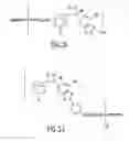 Fig. 14 - Dendritic chemiluminescent substrates