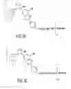 Fig. 15 - Dendritic chemiluminescent substrates