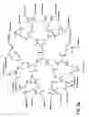 Fig. 16 - Dendritic chemiluminescent substrates