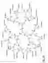 Fig. 17 - Dendritic chemiluminescent substrates