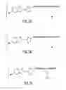 Fig. 29 - Dendritic chemiluminescent substrates