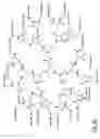 Fig. 35 - Dendritic chemiluminescent substrates