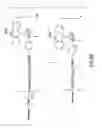 Fig. 47 - Dendritic chemiluminescent substrates