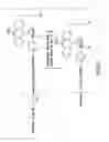 Fig. 48 - Dendritic chemiluminescent substrates