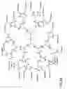 Fig. 49 - Dendritic chemiluminescent substrates