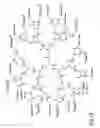 Fig. 52 - Dendritic chemiluminescent substrates