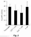 Fig. 04 - Visualization and quantitation of cellular cytotoxicity using cell-permeable fluorogenic protease substrates and caspase activity indicator markers