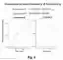 Fig. 08 - Visualization and quantitation of cellular cytotoxicity using cell-permeable fluorogenic protease substrates and caspase activity indicator markers