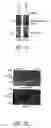 Fig. 03 - Method for detecting a host receptor for pathogenic bacteria