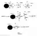 Fig. 02 - Blocker reagent for reduction of heterophile interferences