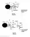Fig. 03 - Blocker reagent for reduction of heterophile interferences