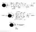 Fig. 04 - Blocker reagent for reduction of heterophile interferences
