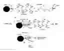 Fig. 05 - Blocker reagent for reduction of heterophile interferences