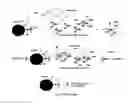 Fig. 08 - Blocker reagent for reduction of heterophile interferences