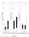 Fig. 06 - Methods for predicting outcome in traumatic brain injury