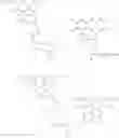 Fig. 23 - Substrates for beta-lactamase and uses thereof