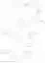 Fig. 26 - Substrates for beta-lactamase and uses thereof