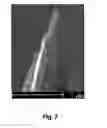 Fig. 08 - Method to determine 3-d elemental composition and structure of biological and organic materials via atom probe microscopy