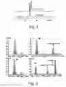 Fig. 03 - Glycoprotein synthesis