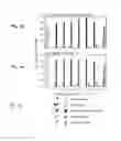 Fig. 05 - Method for Making Multispecific Antibodies Having Heteromultimeric and Common Components
