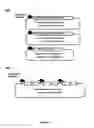 Fig. 05 - Functional influenza virus like particles (VLPs)