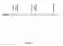 Fig. 12 - Functional influenza virus like particles (VLPs)
